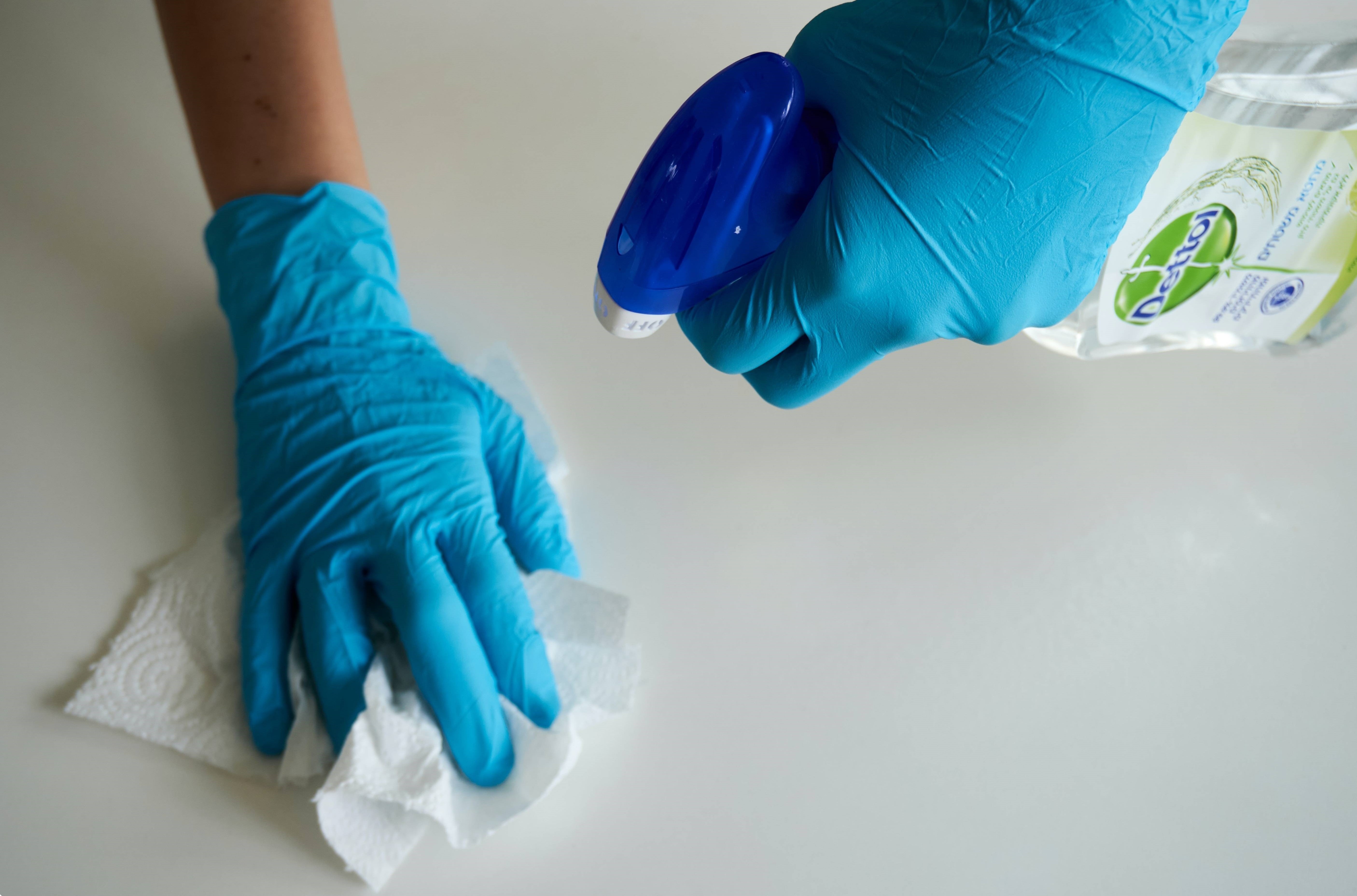  mierenplaag-voorkomen